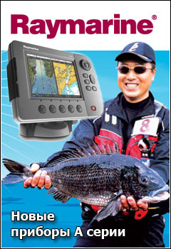 Raymarine